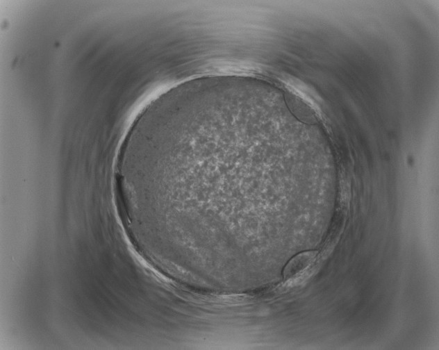 X0000085271471200703231728