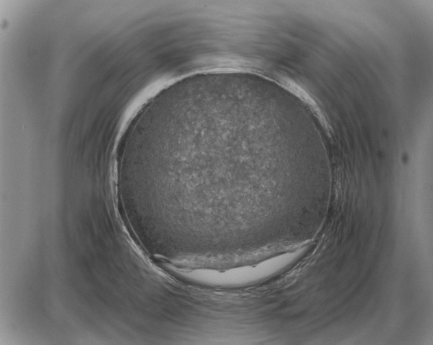 X0000085271472200703231728