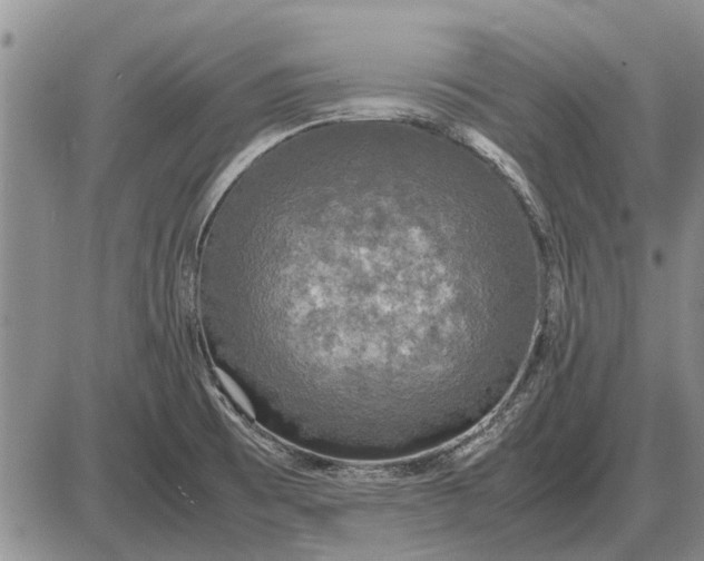 X0000085271473200703231728