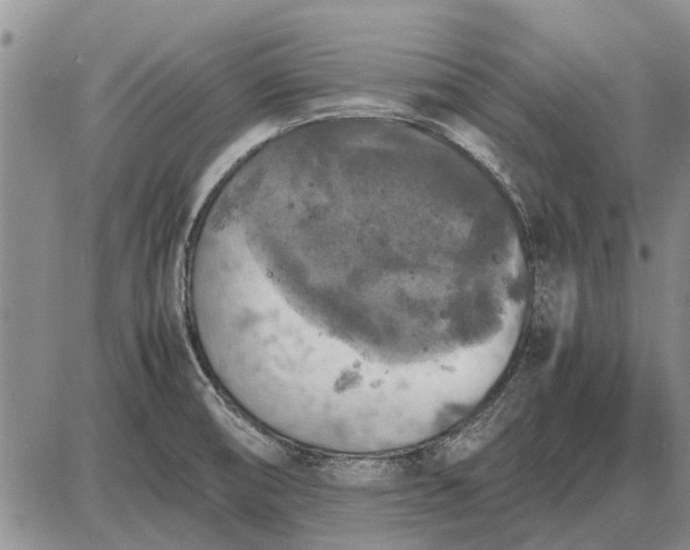 X0000085271474200703231728