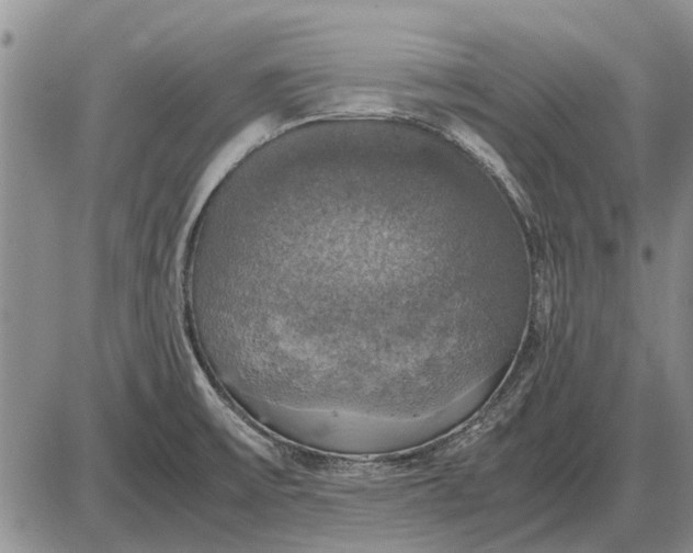 X0000085271475200703231728