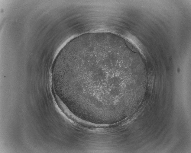 X0000085271476200703231728