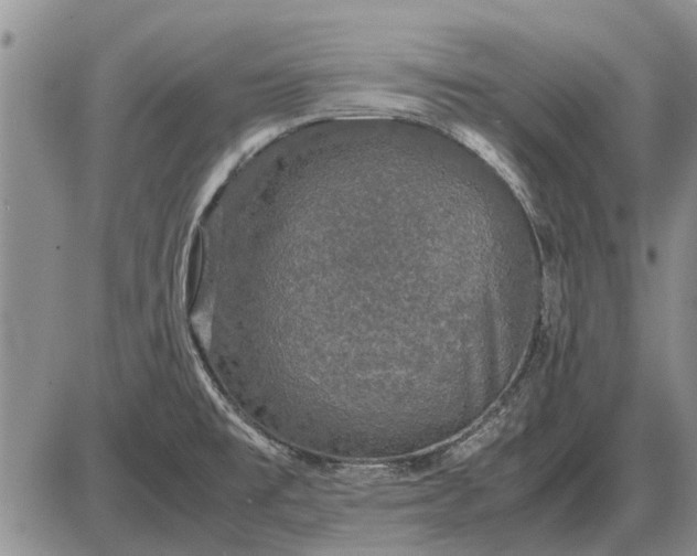 X0000085271477200703231728