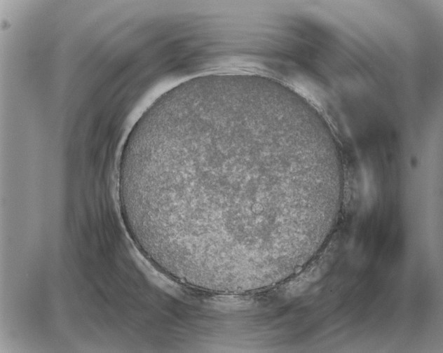 X0000085271478200703231728