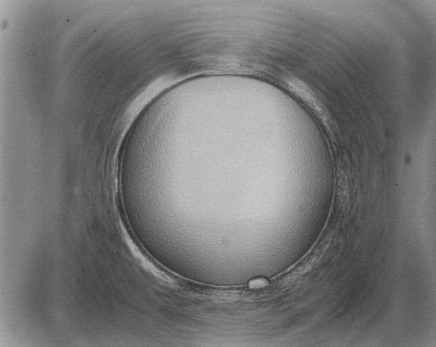 X0000085271479200703231728