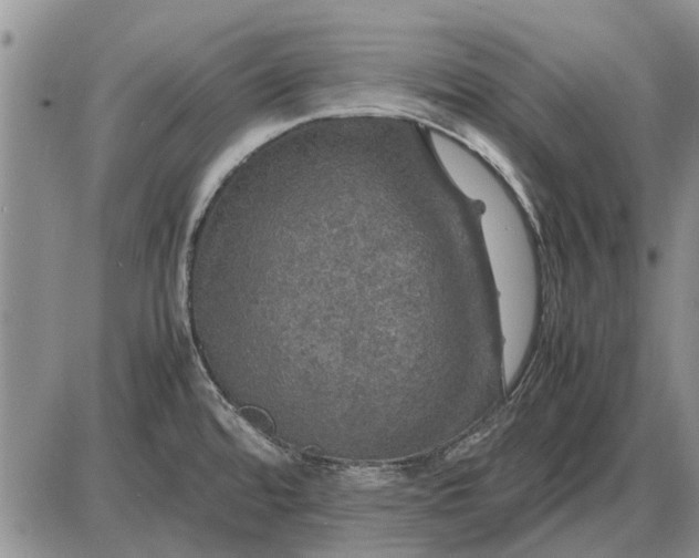 X0000085271480200703231728