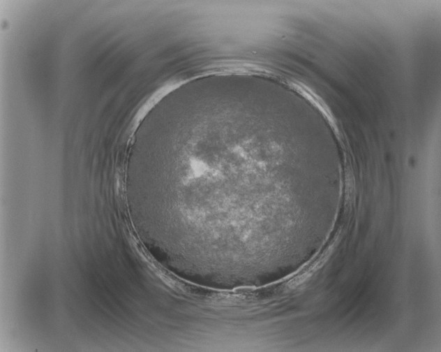 X0000085271481200703231728