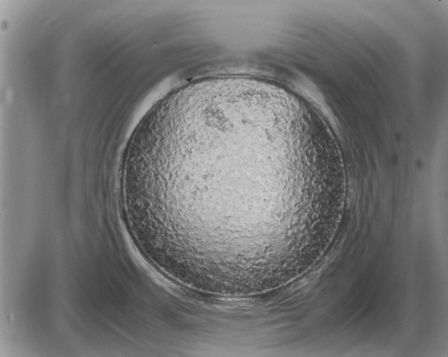 X0000085271483200703231728