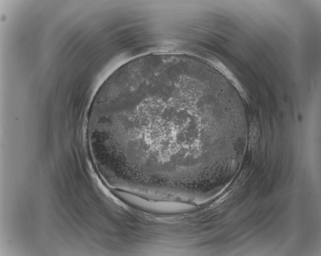 X0000085271484200703231728