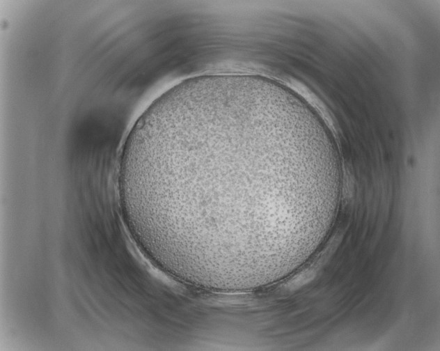 X0000085271486200703231728