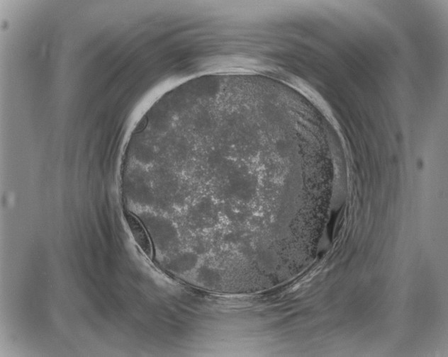 X0000085271488200703231728