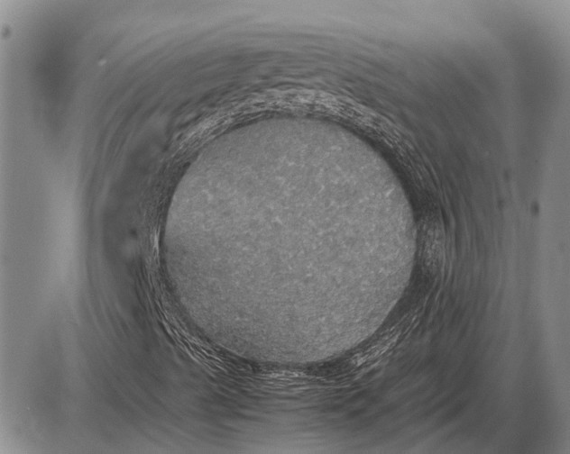 X0000085271489200703231727