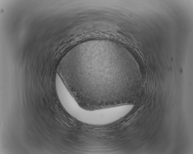 X0000085271490200703231727