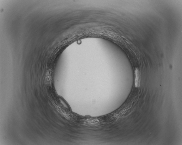 X0000085271491200703231727