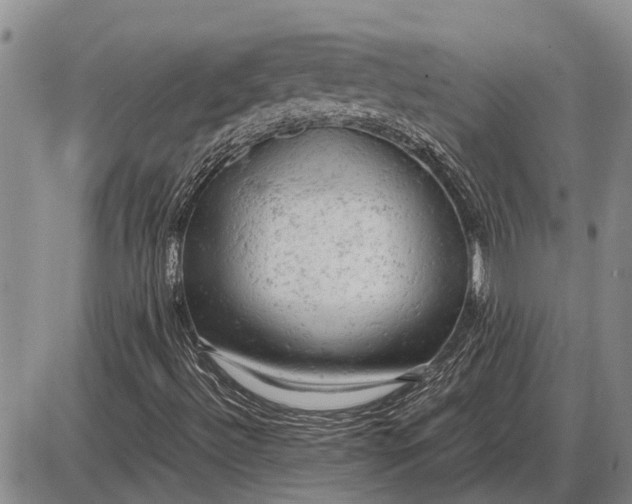 X0000085271492200703231727