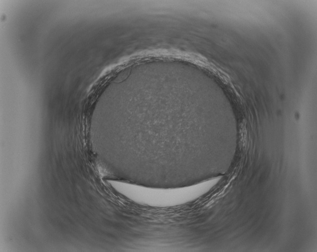 X0000085271494200703231727