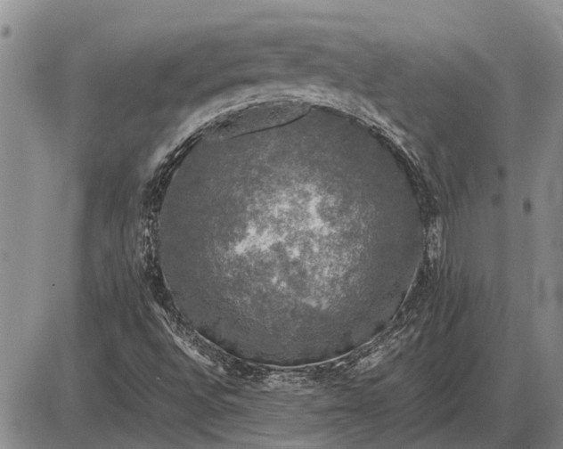 X0000085271496200703231727