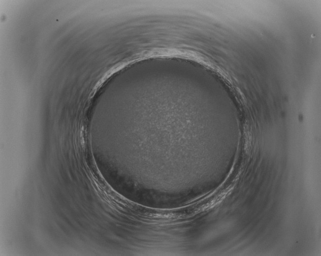 X0000085271497200703231727