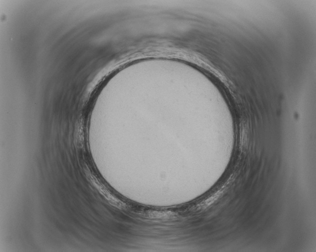 X0000085271498200703231727