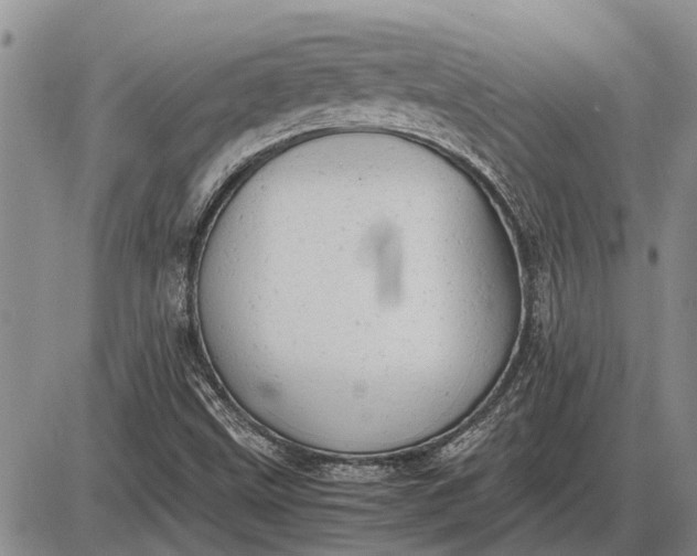 X0000085271499200703231727