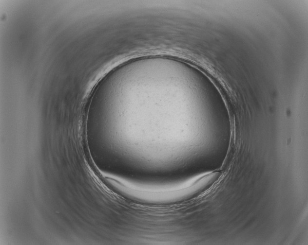 X0000085271500200703231727