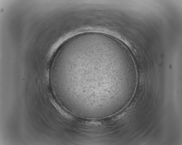 X0000085271503200703231727