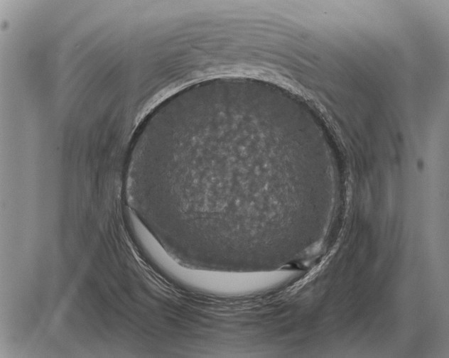 X0000085271505200703231727