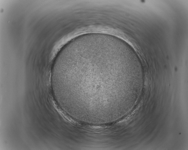 X0000085271507200703231727