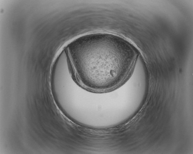 X0000085271508200703231727