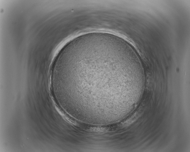 X0000085271511200703231728