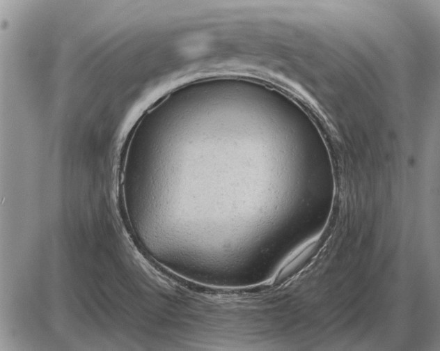 X0000085271512200703231728