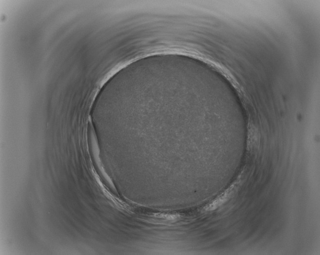 X0000085271513200703231728