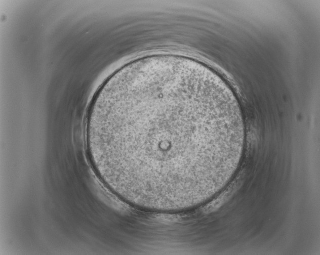 X0000085271514200703231728