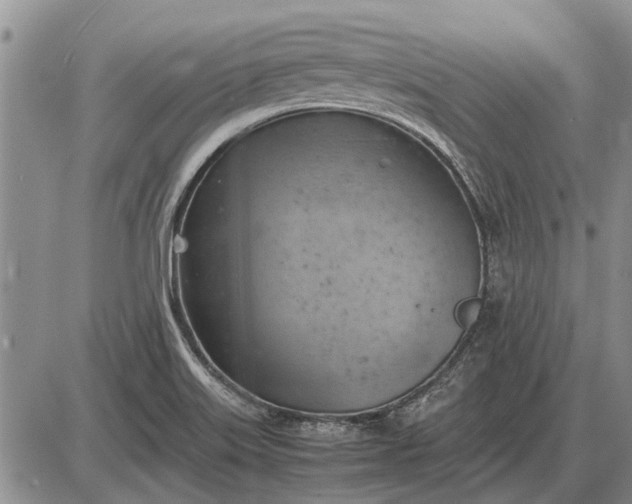 X0000085271515200703231728