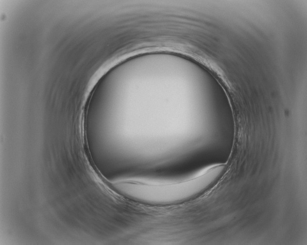 X0000085271516200703231728