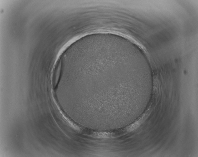 X0000085271517200703231728