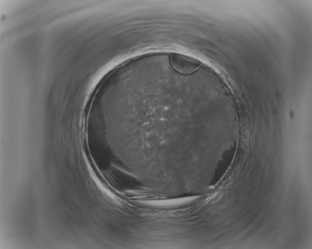 X0000085271519200703231728