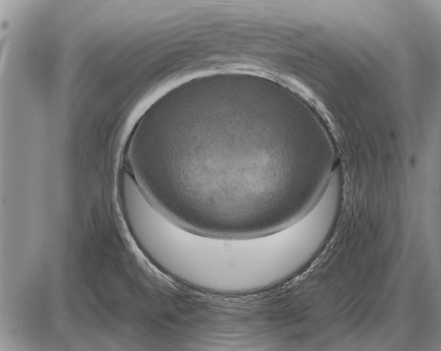 X0000085271520200703231728