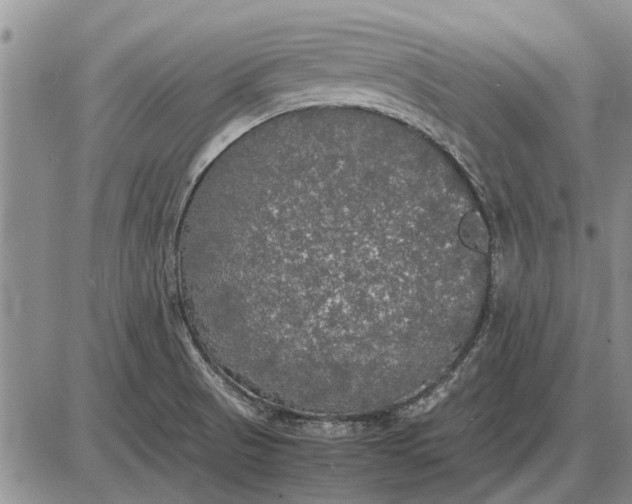 X0000085271521200703231728