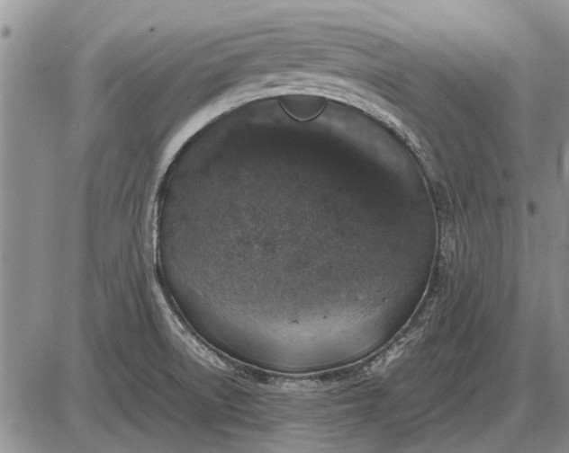 X0000085271522200703231728