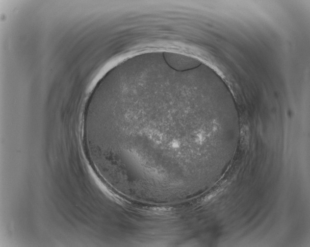 X0000085271523200703231728