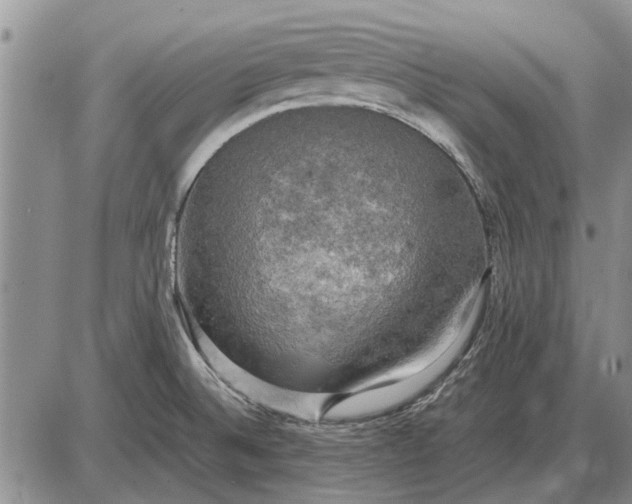 X0000085271524200703231728