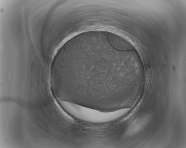 X0000085271525200703231728