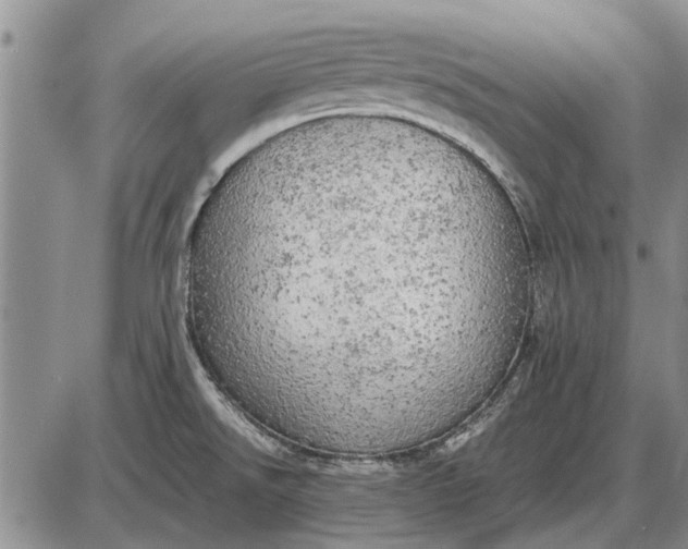 X0000085271526200703231728