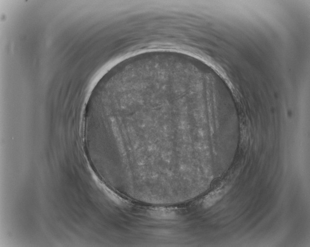 X0000085271527200703231728