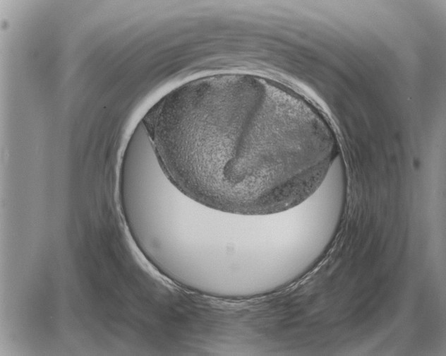 X0000085271528200703231728