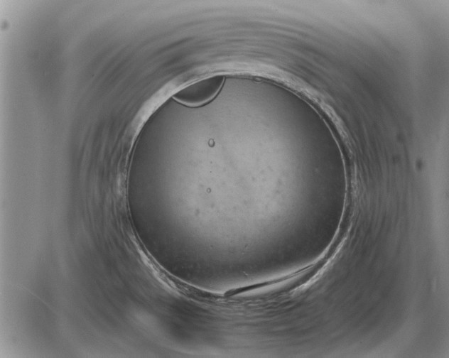 X0000085271529200703231728