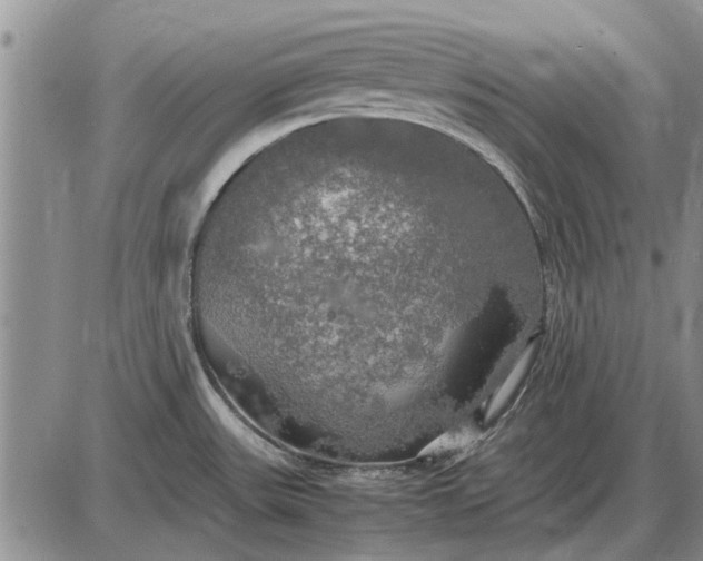 X0000085271531200703231728