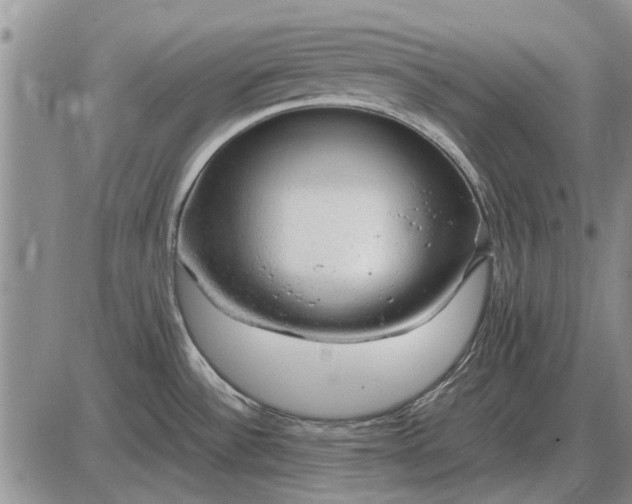 X0000085271532200703231728