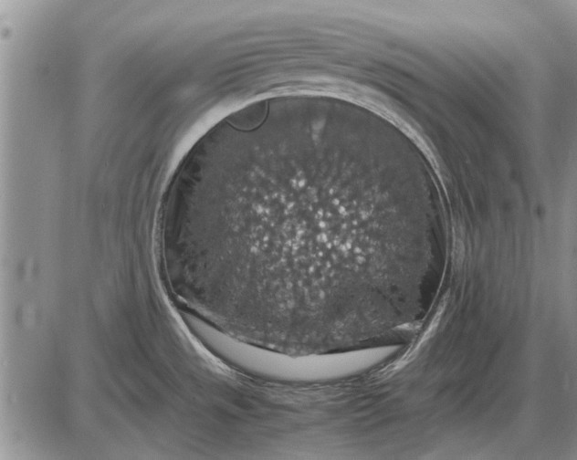 X0000085271533200703231728